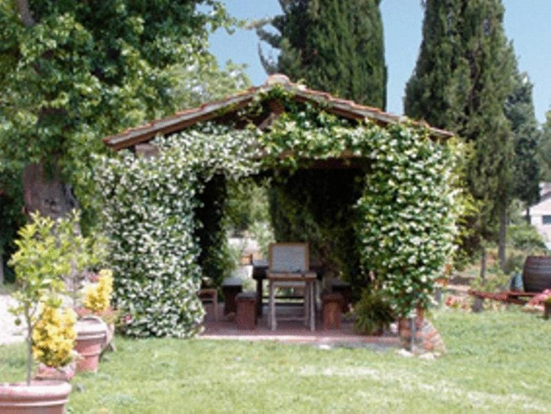Agriturismo Relais Poggio Primo Borro Dış mekan fotoğraf