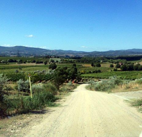 Agriturismo Relais Poggio Primo Borro Dış mekan fotoğraf