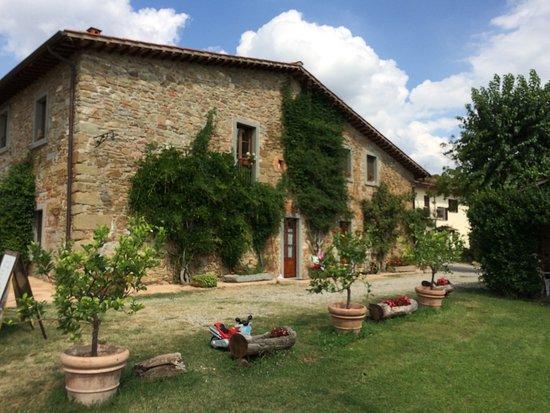 Agriturismo Relais Poggio Primo Borro Dış mekan fotoğraf