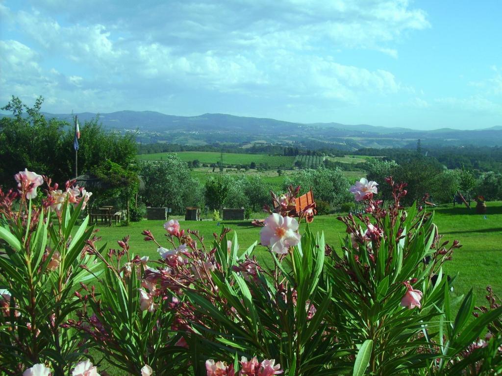 Agriturismo Relais Poggio Primo Borro Dış mekan fotoğraf